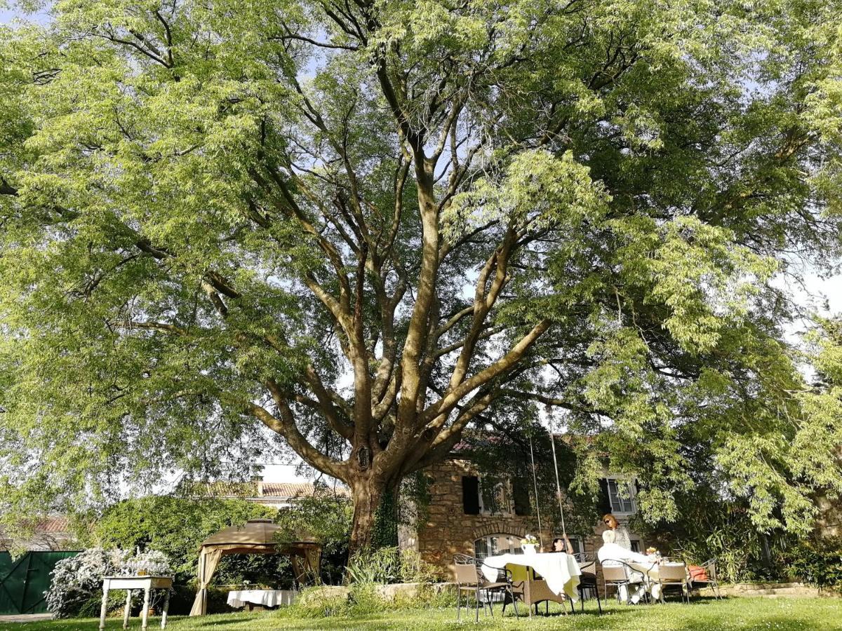 Boutique B&B Stancija 1904 Adults Only Svetvincenat Luaran gambar